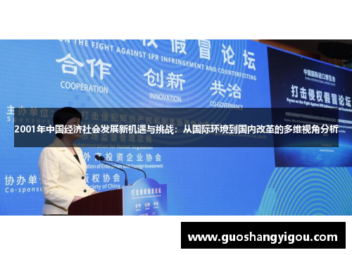 2001年中国经济社会发展新机遇与挑战：从国际环境到国内改革的多维视角分析