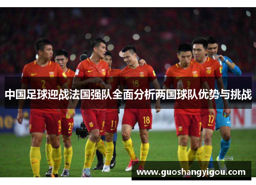 中国足球迎战法国强队全面分析两国球队优势与挑战