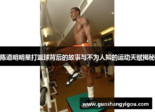 陈道明明星打篮球背后的故事与不为人知的运动天赋揭秘